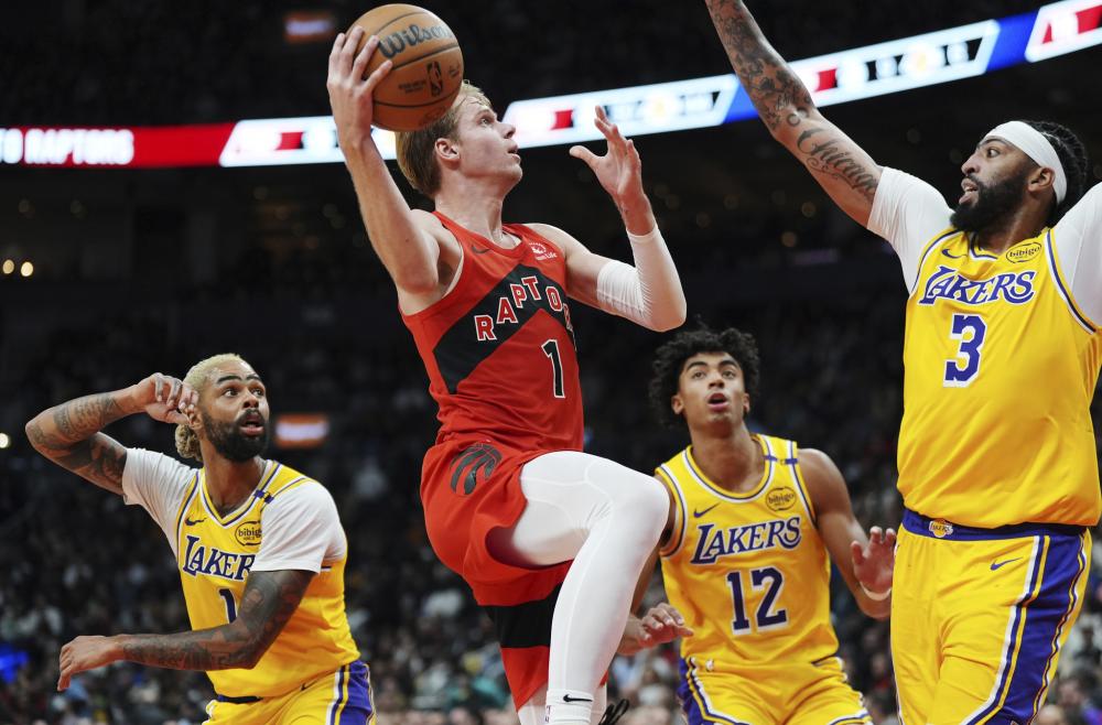 也成为广大 也成为广大